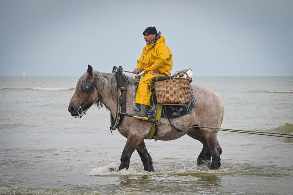 De bekende paardenvisser Johan Vanmassenhove zoals velen hem herinneren: op zijn paard op het strand van Oostduinkerke.