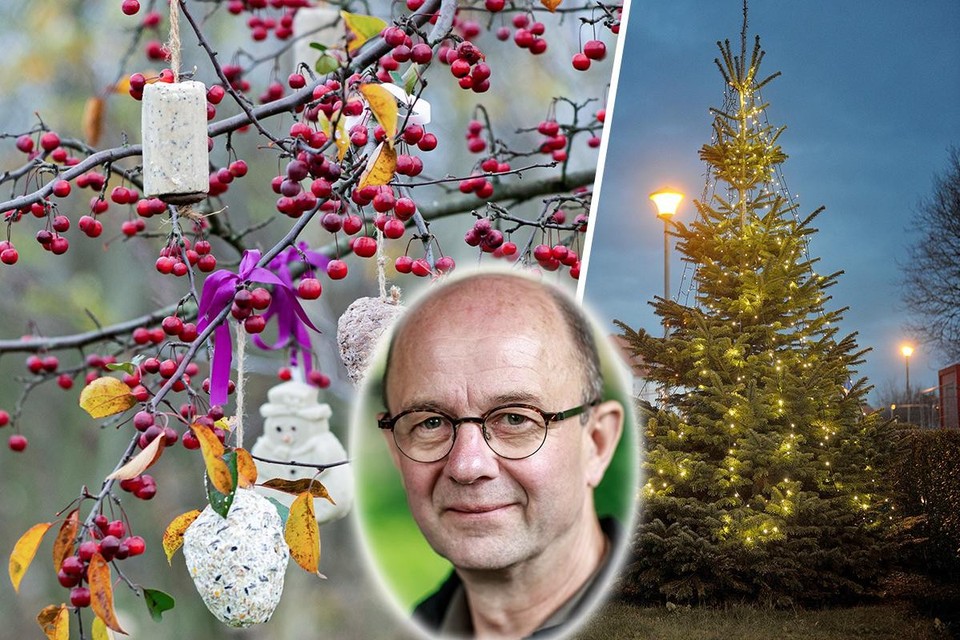 kruis Aankoop Woedend Kerstdecoratie hoeft niet alleen binnen te vinden zijn: onze groenman toont  hoe je ook buiten voor kerstsfeer zorgt | Het Nieuwsblad Mobile
