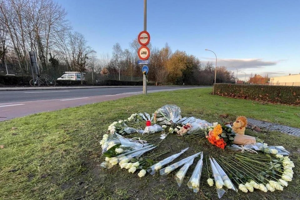 Truck driver risks imprisonment and driving ban after a fatal accident with 12-year-old Miel: « I really didn’t see him » (Heist-op-den-Berg)