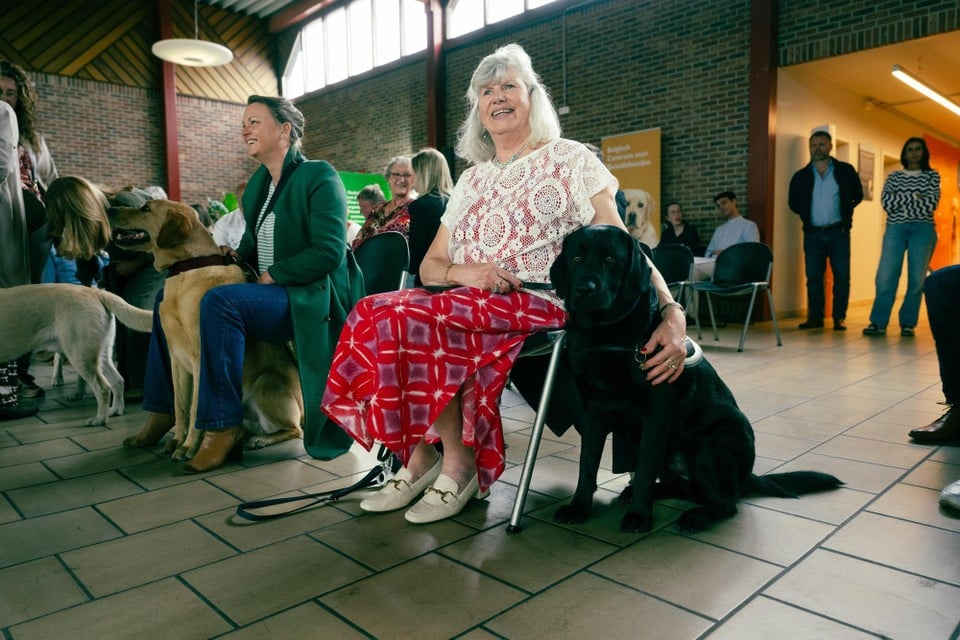 handing over 24 blindly guided dogs to their owner Copyright Raymond Lemmens