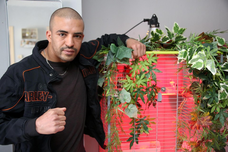 Hedi Slimani denkt dat hij een goede kans heeft om te winnen.