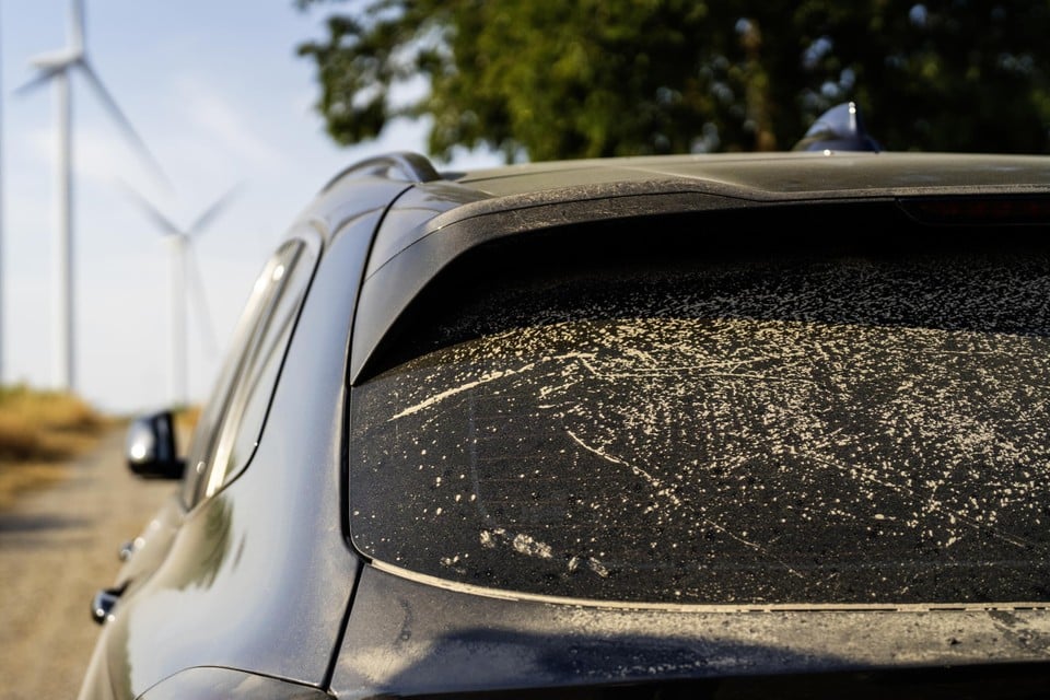 Roads driving full of dirty cars and garden furniture will not be filthy in any time: what’s going on?