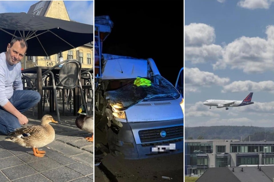 A serious crash without injured, striking visit to the Poperingse Markt and a study into tourist tax in Flanders: 5 Unmissable Regional Stories of the Weekend (Inland)
