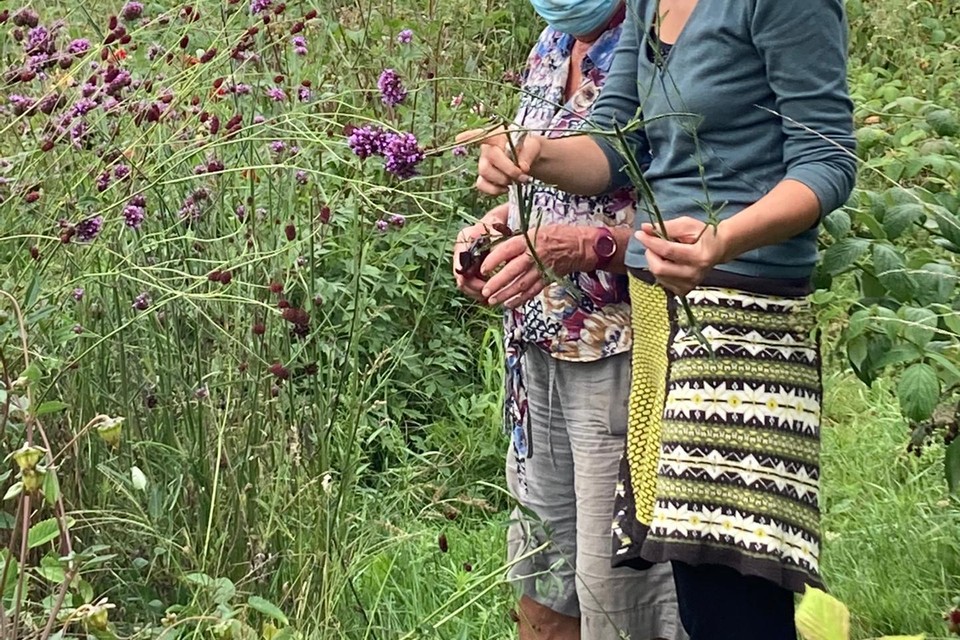 Elke maand in de winkelrekken in de Brugse Poort: boeketten geplukt in de tuin van De Moester, dat mensen met psychische en sociale problemen opvangt.