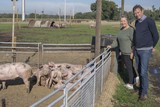 thumbnail: Guy Van de Berry and his wife Caroline Hermans pose with free-range pigs in the Hesehesp meadow, Kasterlee's new farm butcher.  