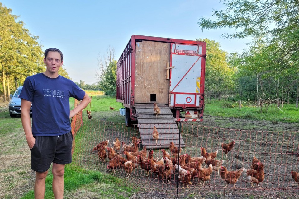 Bezet links gek geworden David (25) droomt ervan boer te worden en bouwde mobiele kippenren: “Eitjes  zijn duurder, maar mensen willen kwaliteit” (Aartselaar) | Het Nieuwsblad  Mobile
