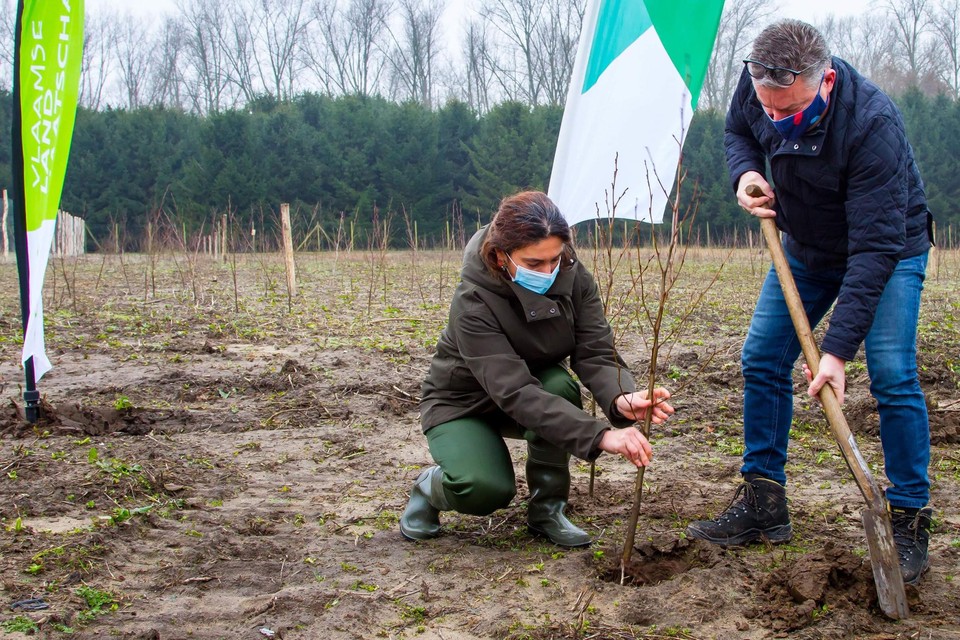 Zuhal Demir en Koen Van den Heuvel plantten drie weken terug de eerste boompjes. 