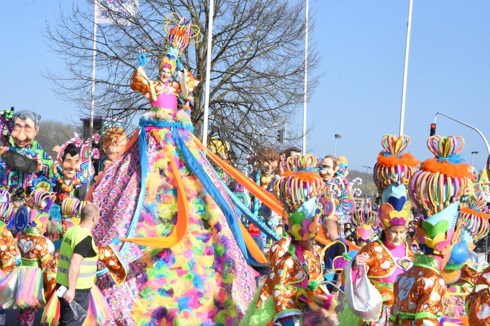 Seminarie Oriëntatiepunt worm De ultieme gids voor feestneuzen: wat je moet weten voor een geslaagd  carnaval (Halle) | Het Nieuwsblad Mobile