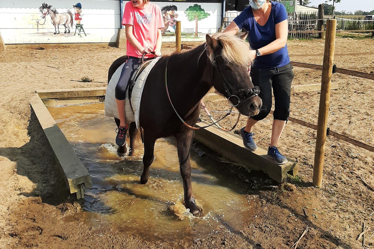 Hippisch Zorgcentrum Heikenhof volledig in het nieuw: “Paard is meest  geduldige en eerlijke wezen op aarde” (Meerhout) | Het Nieuwsblad Mobile