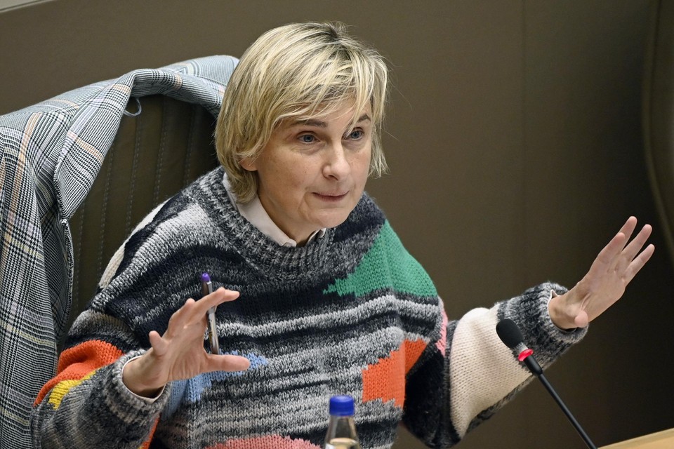 Vlaams minister van Economie en Werk Hilde Crevits  