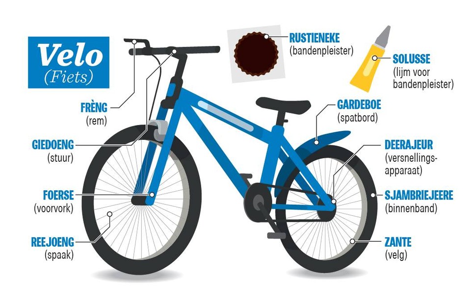 uitglijden Fabriek Behandeling Week van het Gents: kan u 10 onderdelen van een fiets in het Gentse dialect  opsommen? (Gent) | Het Nieuwsblad Mobile