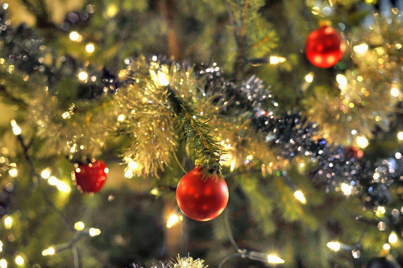 temperatuur Afvoer Alarmerend Om ter best Kerstmis vieren in VTM-programma 'Mijn beste kerst ooit' | Het  Nieuwsblad Mobile