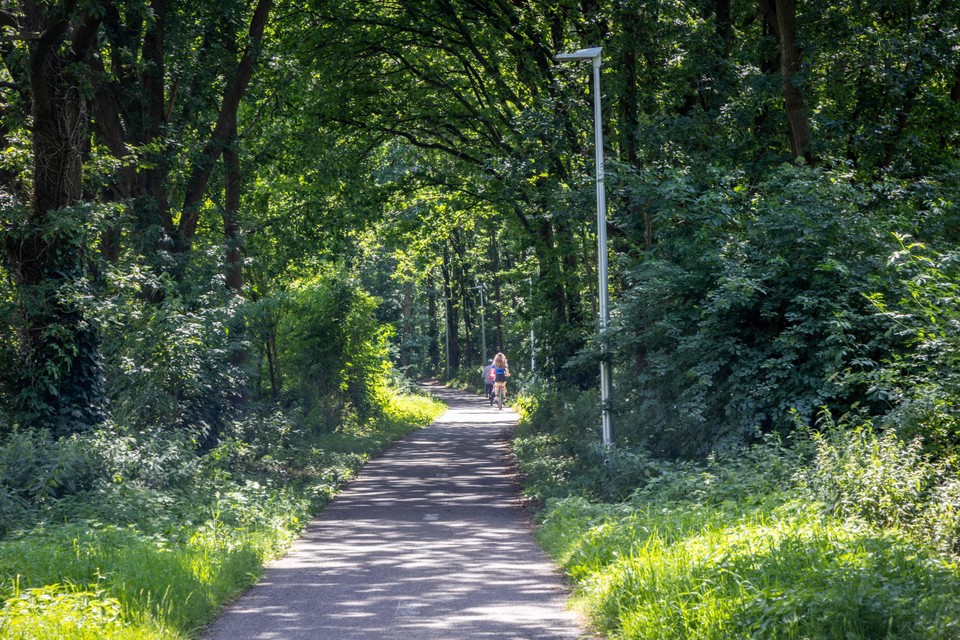 De fietsers werden van hun fiets geslagen op het fietspad tussen Achel en Neerpelt.