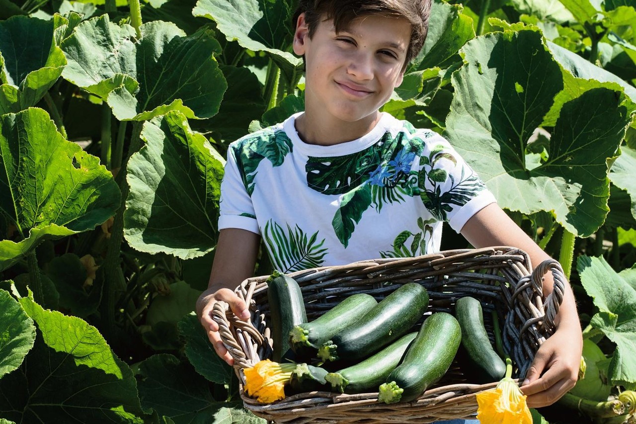 Sluit ze niet op in de moestuin: de courgette schittert ook in border of  pot | Het Nieuwsblad Mobile