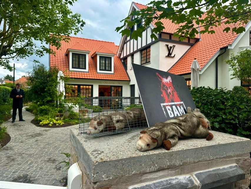 An image of during the protest.