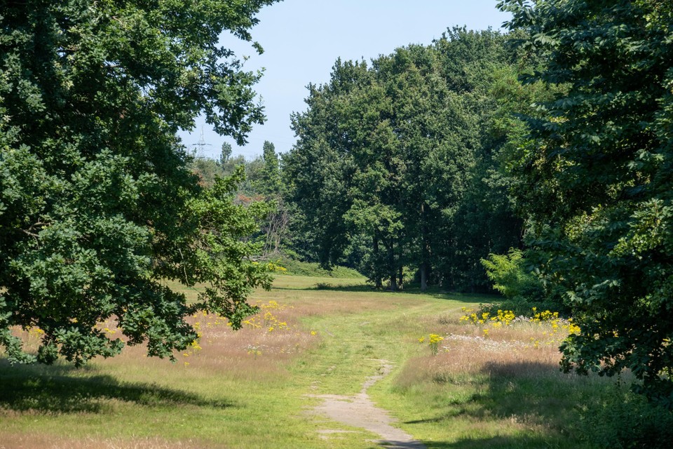 De Bremweide: vroeger een autokerkhof, vandaag een groen eiland.