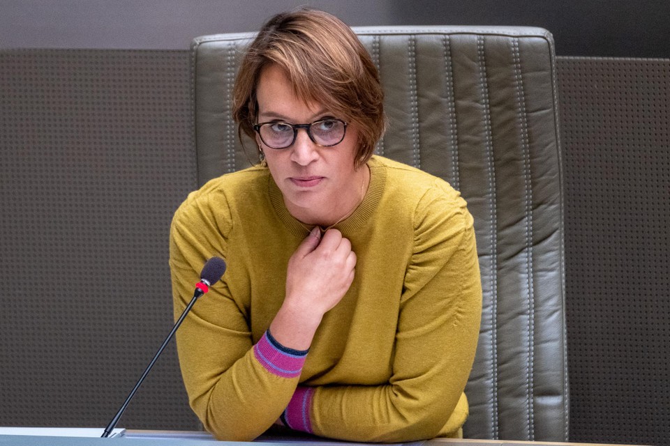 Elisabeth Meuleman, Vlaams parlementslid voor Groen.