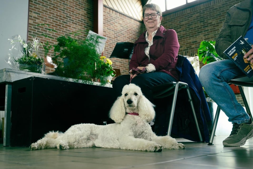 handing over 24 blindly guided dogs to their owner Copyright Raymond Lemmens