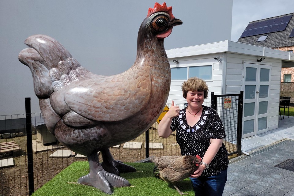 Ze luisteren naar mij en komen zelfs op mijn schoot zitten”: Karina plaatst in tuin groot monument als ode aan haar kippen (Merchtem) | Nieuwsblad