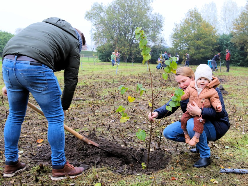 In buurgemeente Sint-Katelijne-Waver bestaat er al een geboortebos.
