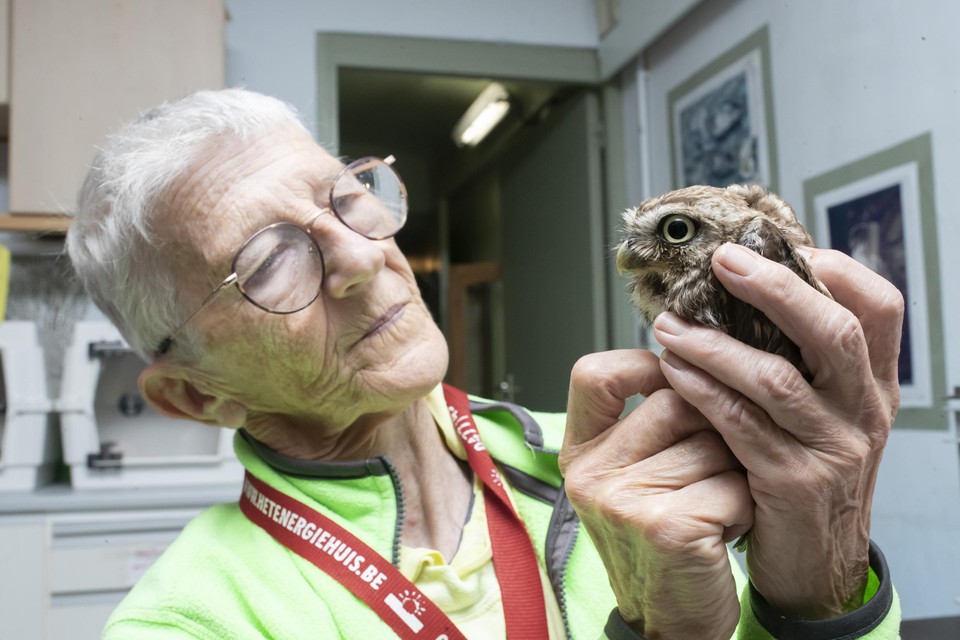 Vrijwilliger Annemie Leyts is tien uur per dag bezig vogels en andere dieren te verzorgen.  