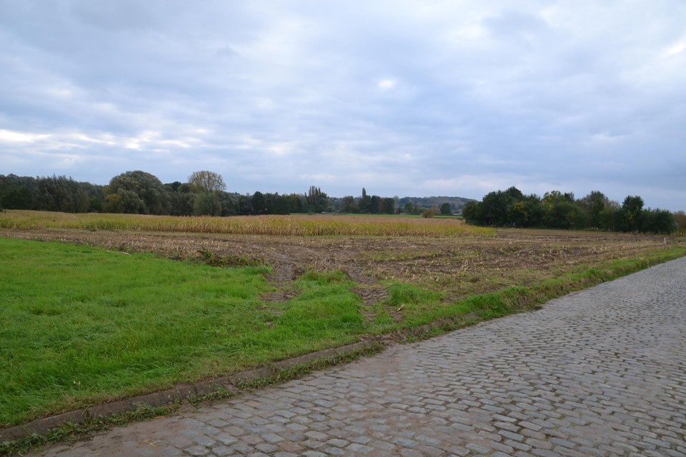 Voor het gemeentebestuur mag dit landbouwperceel niet gebruikt worden voor de oprichting van een duivenkweekcentrum.
