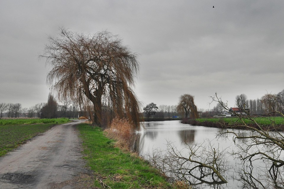 https%3A%2F%2Fstatic.nieuwsblad.be%2FAssets%2FImages_Upload%2F2023%2F12%2F18%2Fd08ab1ca-e32b-465a-ba35-0980e5453dfc.jpg