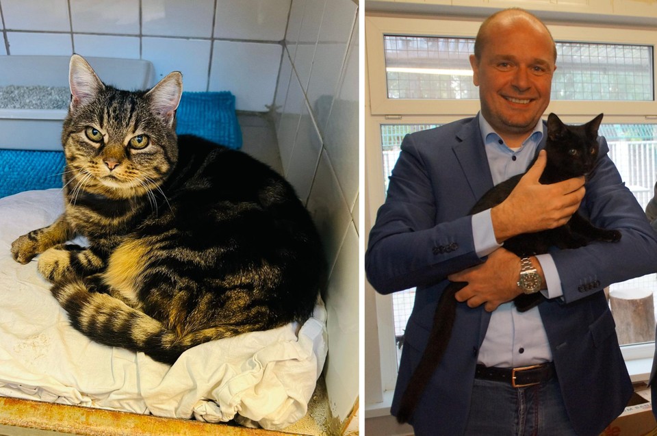 Fabrice Goffin (rechts, met andere dan gedumpte kat in zijn handen), voorzitter van het dierenasiel, is erg boos. Links de gedumpte kat.  