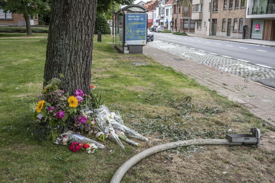 Op de plaats waar de fietsster werd aangereden, werden bloemen neergelegd. 