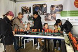 thumbnail: null