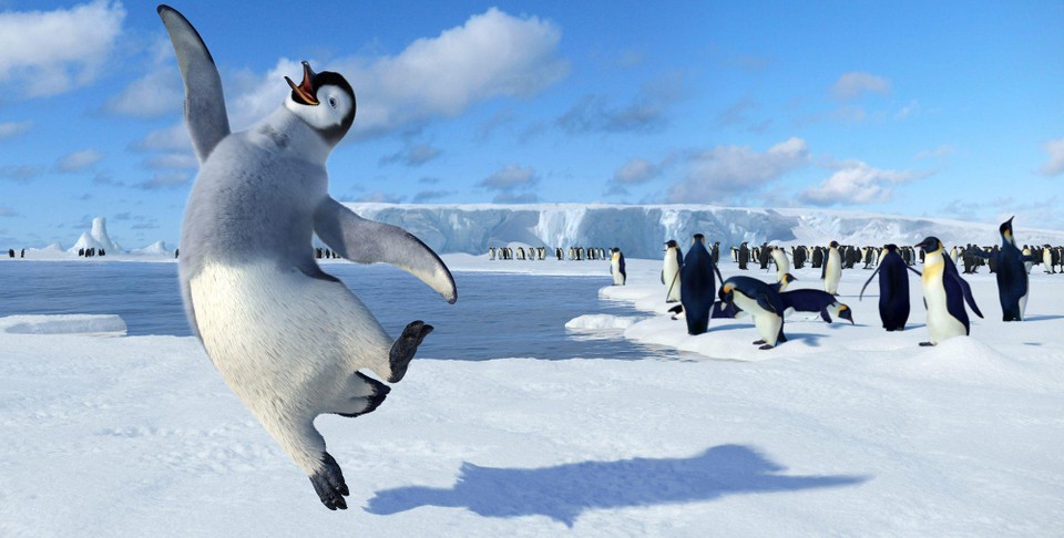 Tapdansende pinguïns op de Zuidpool. Als we daar geen verkoeling meer vinden, weten we het niet meer. 