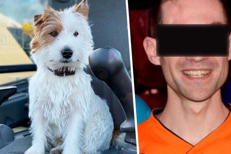 Jogger A.V. (rechts) uit Lokeren stak vorig jaar hondje Dribbel dood. Hij moest daarna zelfs een tijdlang onderduiken.