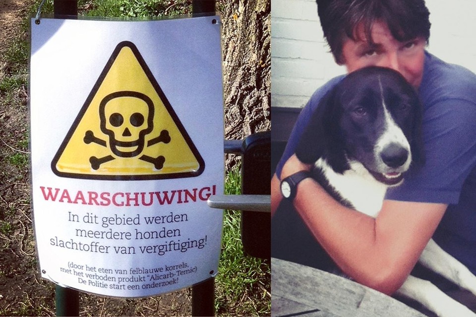 logboek Lot hoofdstad Al twee honden vergiftigd in natuurgebied: “Trix was een doodbrave hond.  Vreselijk, zo'n einde.” (Sint-Martens-Latem) | Het Nieuwsblad Mobile