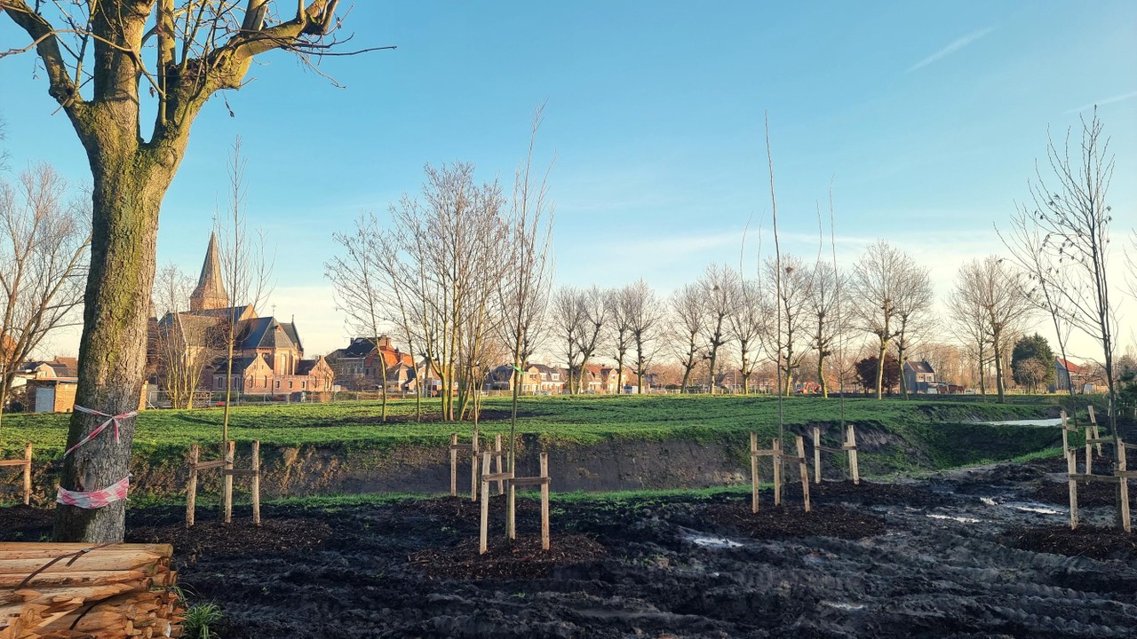 Umicore Plant 11.000 Bomen En Struiken In Afgebroken Woonwijk 