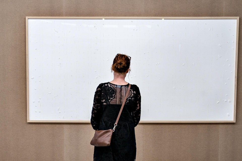 Een vrouw kijkt in het Deense Kunsten Museum naar een leeg canvas genaamd: ‘Take the money and run’. 