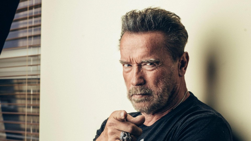 Schwarzenegger oggi 