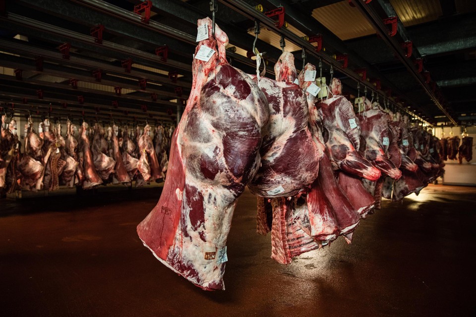 De inval gebeurde bij verschillende vleesverwerkende bedrijven.