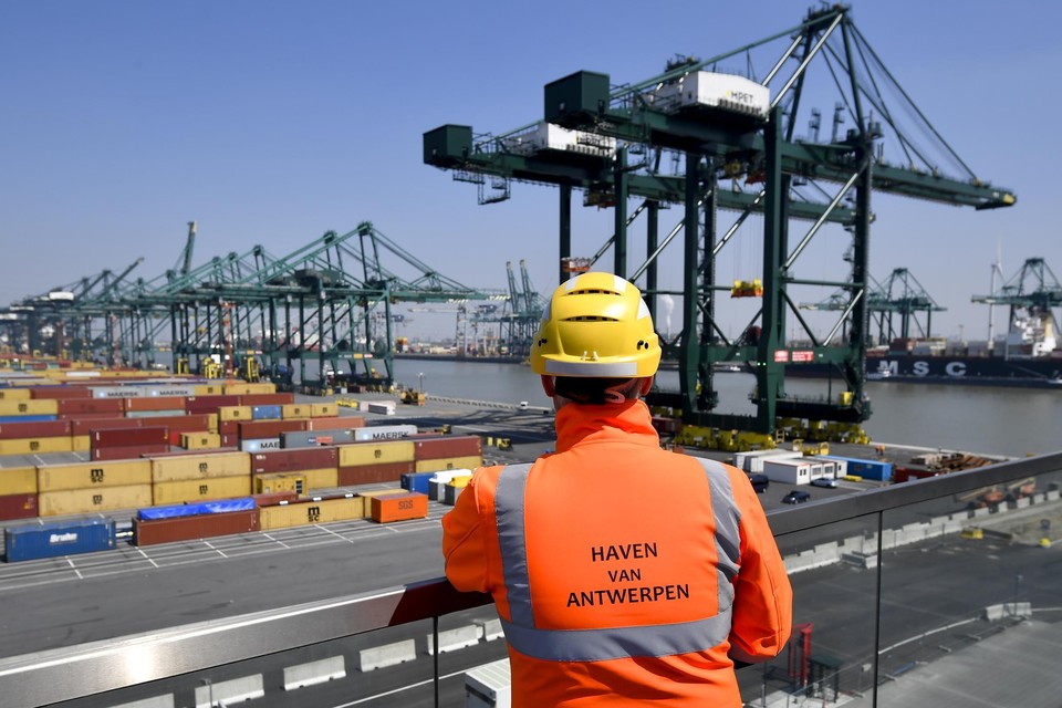De haven van Antwerpen heeft nauwelijks nog plaats over om containers te plaatsen. “En als je geen perspectief kan bieden, gaan de rederijen elders.” te 