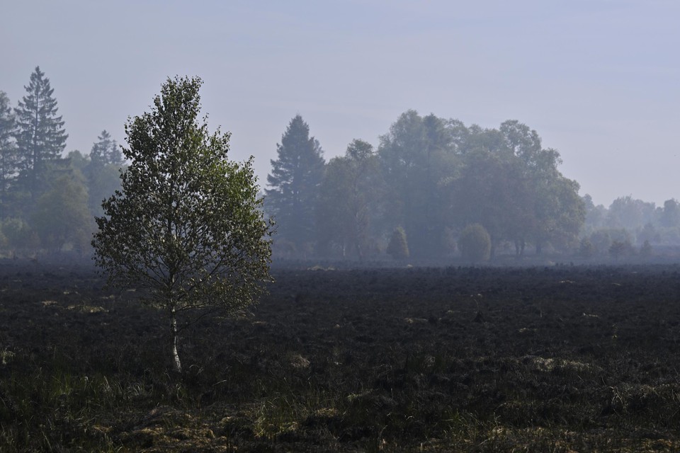 50 hectare natuur brandde volledig af.