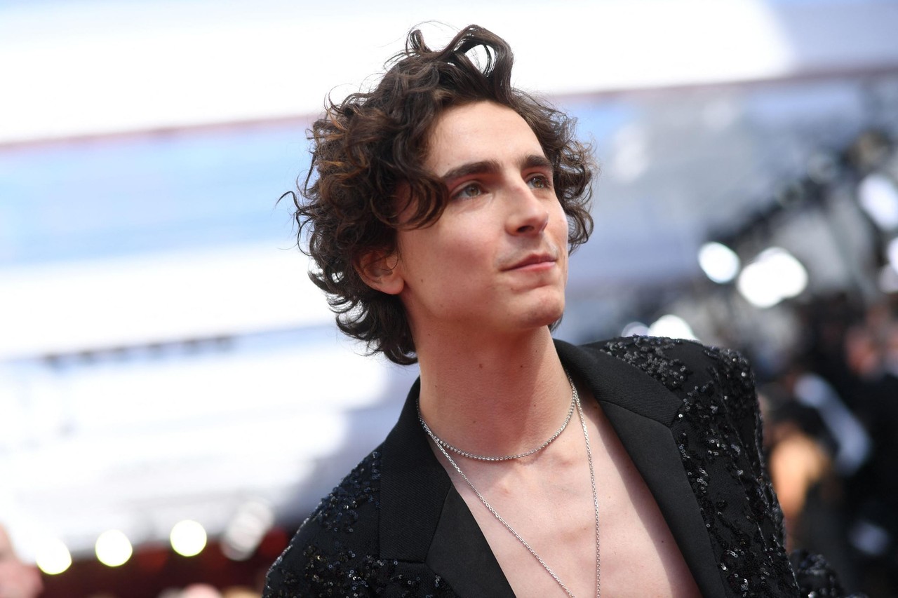 SOS Haar. Een weelderige coupe zoals Timothée Chalamet? Dit kapsel is voor  meer mensen geschikt dan je denkt | Het Nieuwsblad Mobile