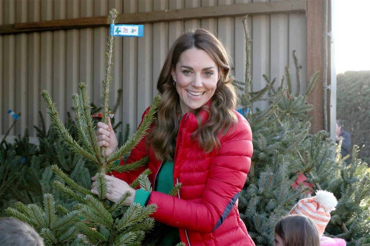 Doorbraak verdrievoudigen Berri Koop je nu beter een echte of een valse kerstboom? | Het Nieuwsblad Mobile