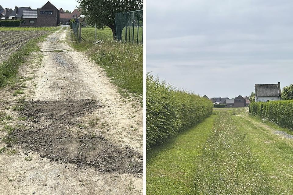 Director (27) who arrived Gerben (14) arrested in Sint-Laureins for attempted manslaughter, passenger (19) for guilty absenteeism (Sint-Laureins)