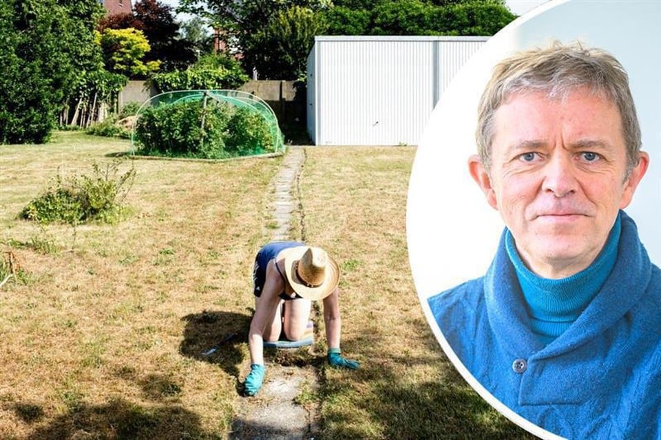 Frank Deboosere warns of hot, dry summer: « Now that spraying your lawn is the stupidest thing you can do »
