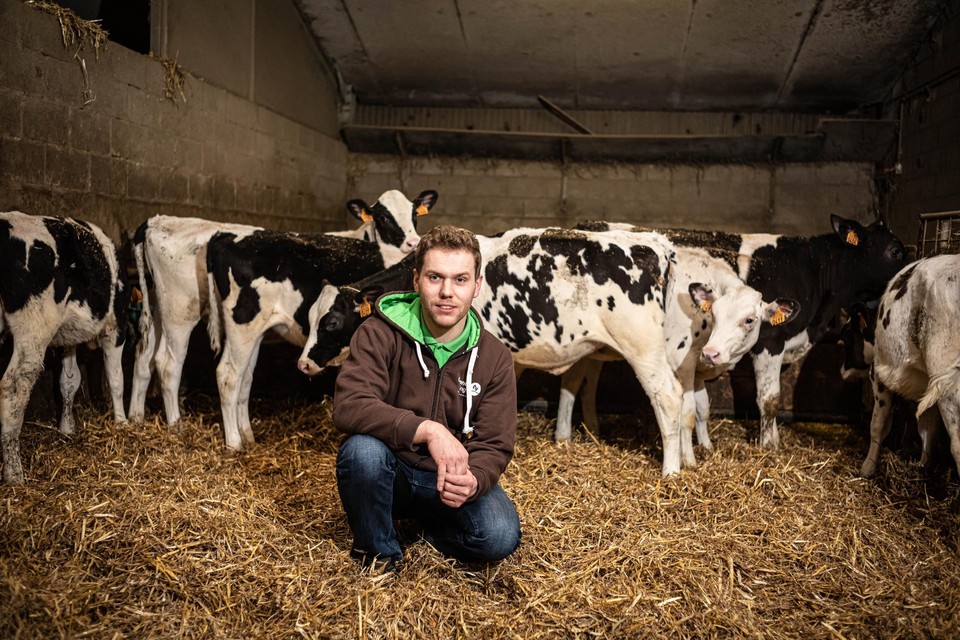 Maarten Moermans uit Dilsen-Stokkem ondervindt aan den lijve hoeveel boeren getroffen worden door de beslissing van de Vlaamse regering. 