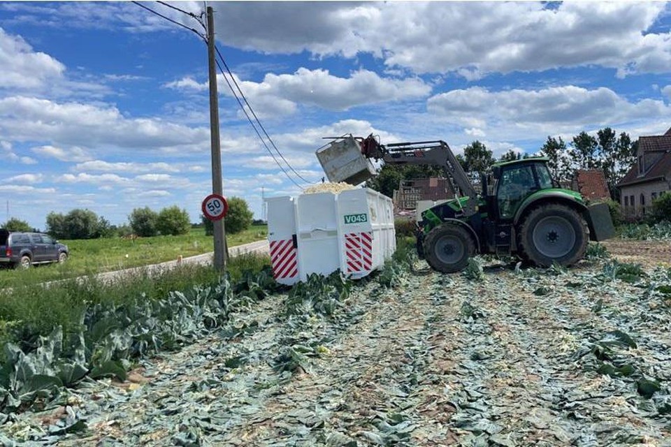 Boer Vanneste ploegde zijn bloemkolen kapot en gooide ze daarna bij het afval.  