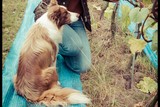 thumbnail: null