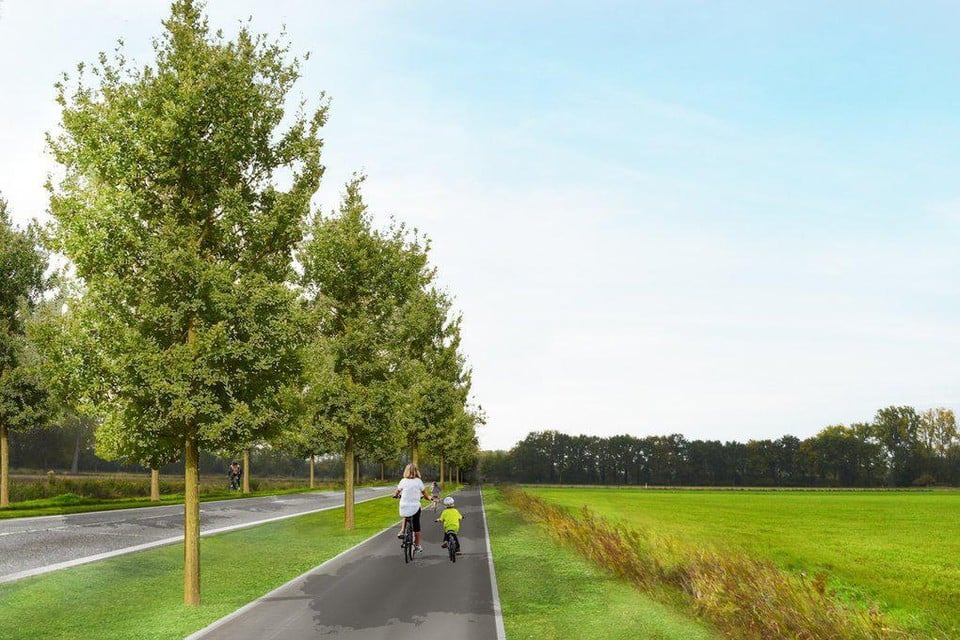 Zo zou het nieuwe fietspad eruitzien, inclusief nieuwe bomen.