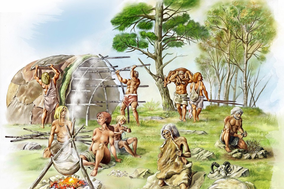 Neanderthalers aten naast vlees en vruchten ook plantaardig voedsel, zo blijkt uit nieuw onderzoek. 