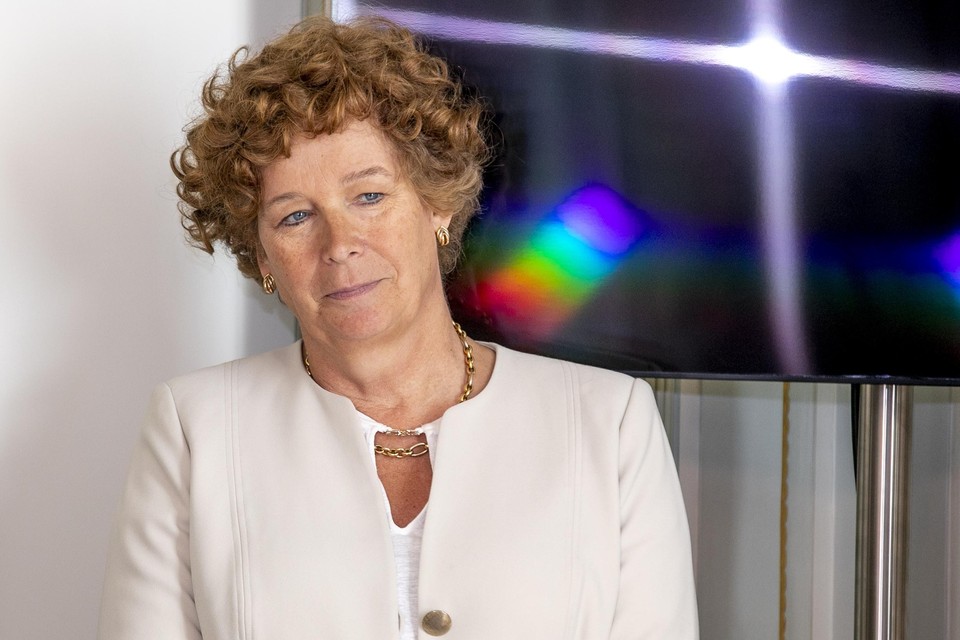 Vicepremier Petra De Sutter pleit voor meer gespecialiseerde centra.