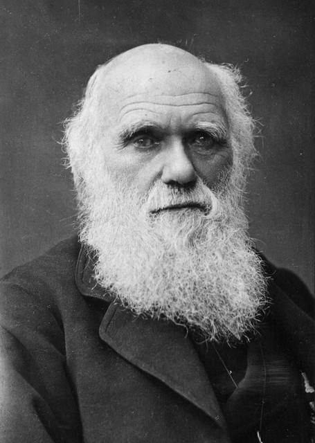 Charles Darwin - zelf een baarddrager - zag een baard als een ornament om de andere sekse te verleiden. Amerikaans onderzoek ziet een ander evolutionair nut 